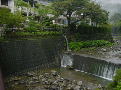002.JPG