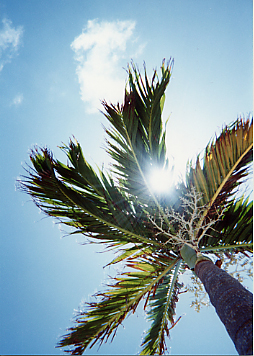 01.JPG