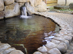 0615-28.JPG