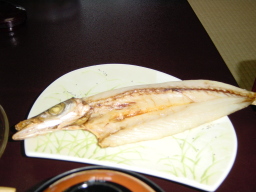 0615-32.JPG