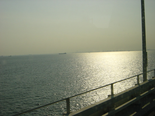 0616-9.JPG