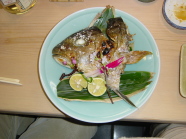 DSC00005.JPG