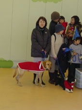 inu-1.JPG