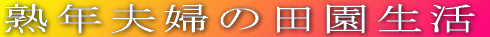 logo2.gif