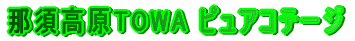 ߐ{TOWA sARe[W 